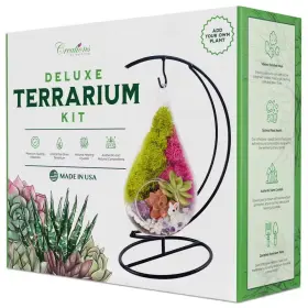 313054764706 CREATIONS BY NATHALIE Terrarium Succulent Glass
