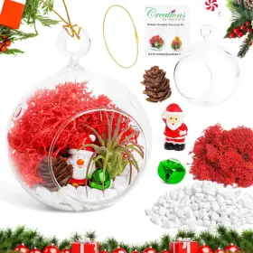 445006539582 CREATIONS BY NATHALIE Ornament Terrarium Glass