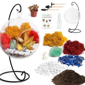 860011356011 CREATIONS BY NATHALIE Glass Globe Terrarium Kit