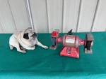 Baldor 612r Bench Grinder Buffer Wire Wheel 1/3 Hp - 3600 Rpm 6" Usa See Video. Fixed Price $227.00.