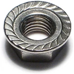 Hard-to-find Fastener 014973181680 Serrated Lock Nuts, 5/16-24, Piece-6. Fixed Price $28.08.